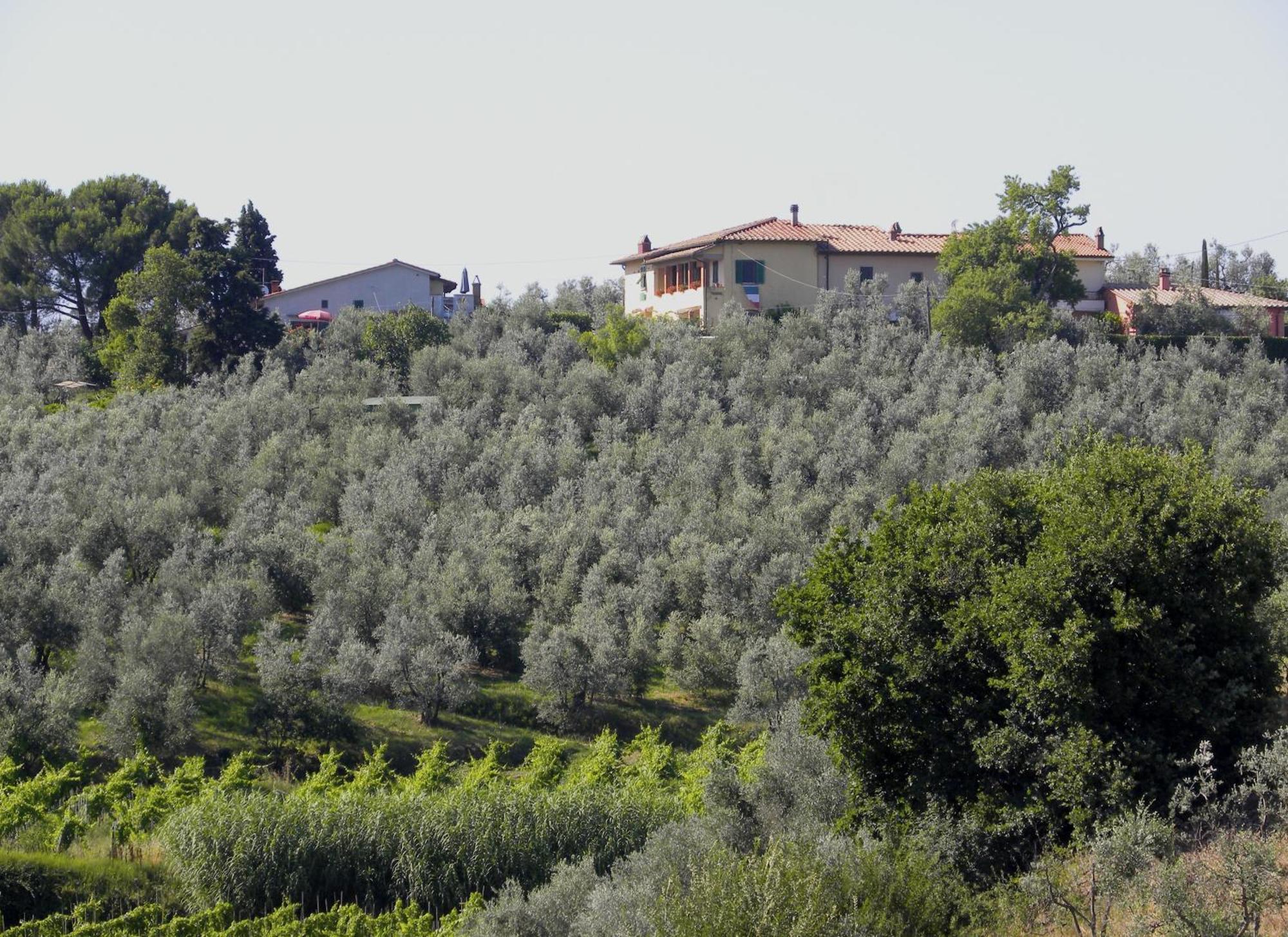 Pensjonat Agriturismo Podere Zollaio Vinci Pokój zdjęcie